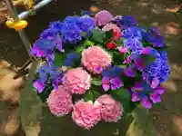 筥崎宮(福岡県)