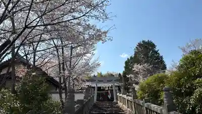 吉備津岡辛木神社(岡山県)