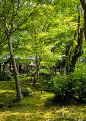 圓光寺(京都府)