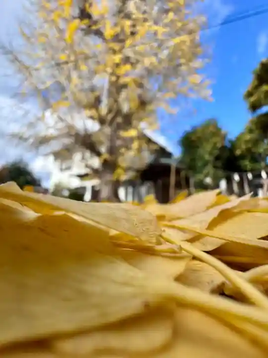 和田神社(滋賀県)