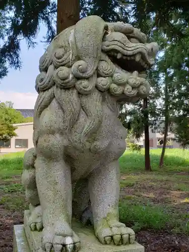 白山比咩神社の狛犬