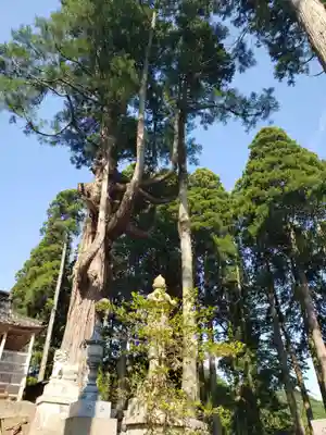 頭川神社の自然