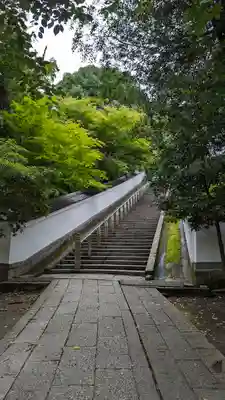 知恩院(京都府)