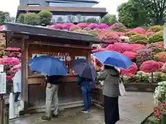 根津神社の庭園