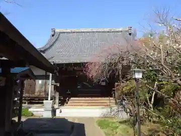 真照寺の本殿・本堂