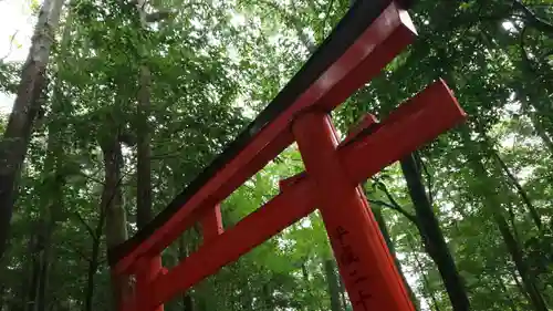 出雲大神宮の鳥居