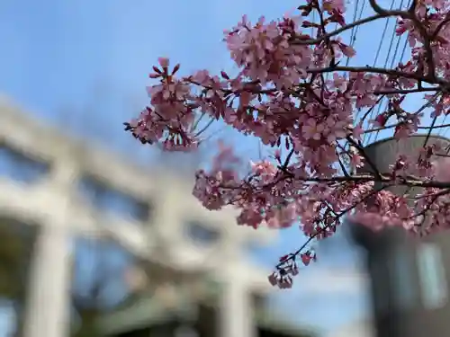 鳩ヶ谷氷川神社の自然