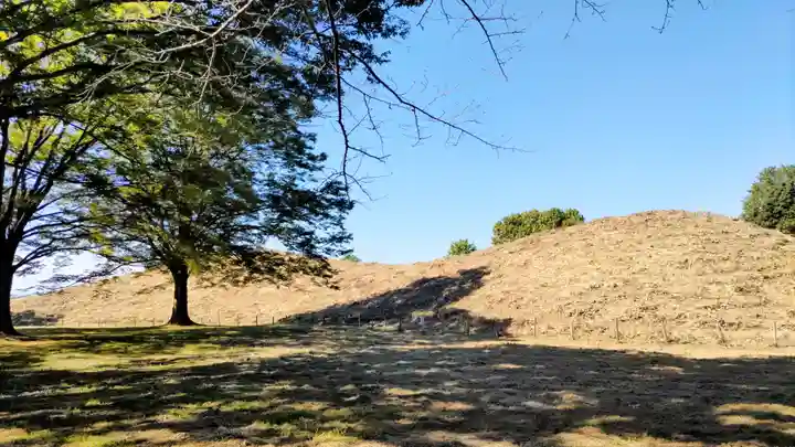 前玉神社(埼玉県)