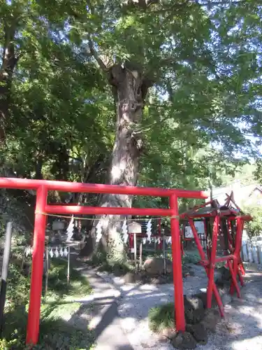 山名八幡宮の鳥居