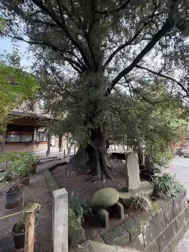 瀬戸神社(神奈川県)