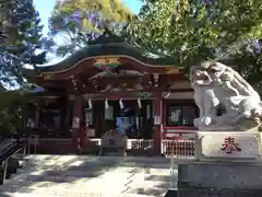 葛西神社の狛犬