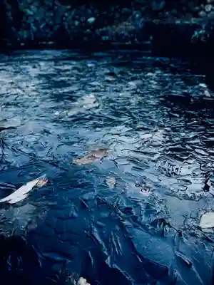 浄居寺(山梨県)