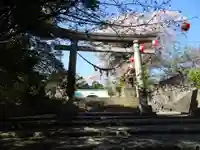 子鍬倉神社の鳥居
