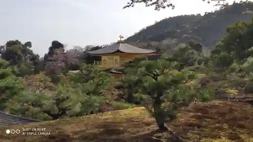 鹿苑寺（金閣寺）の本殿・本堂