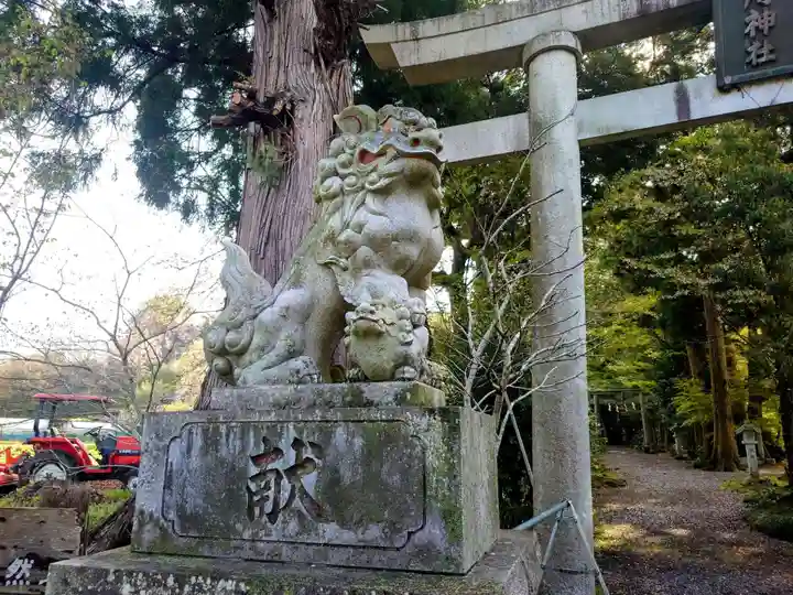 五所駒瀧神社(茨城県)