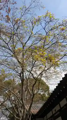 水無瀬神宮(大阪府)