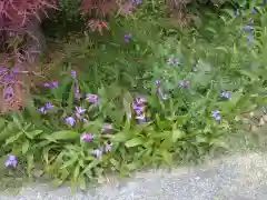 浄楽寺(神奈川県)