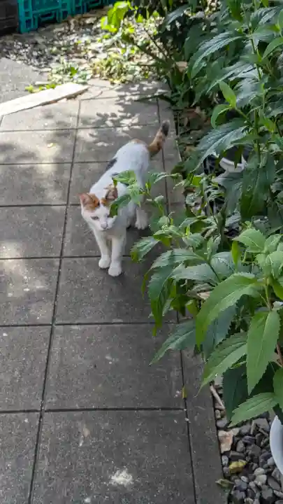 行願寺(革堂)(京都府)