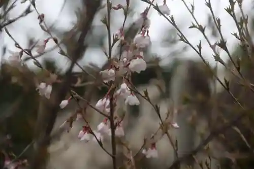 開成山大神宮の庭園
