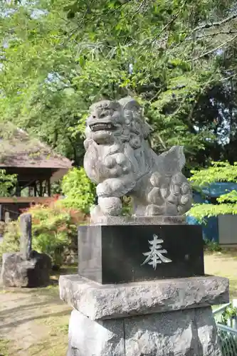 白髪神社の狛犬