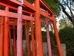 根津神社の鳥居