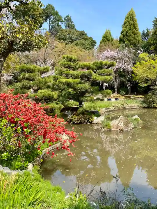 法金剛院(京都府)