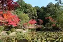 大原野神社(京都府)