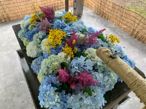 北広島市総鎮守　廣島神社の手水舎