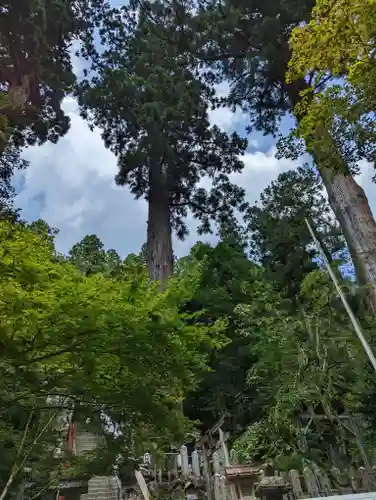 由岐神社(京都府)