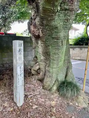 寳光院(栃木県)