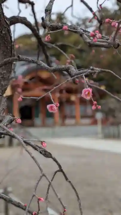長岡天満宮の自然