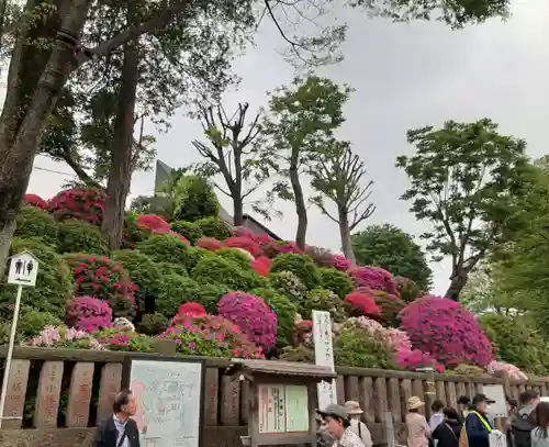 根津神社(東京都)