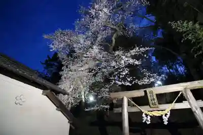 田村神社の鳥居