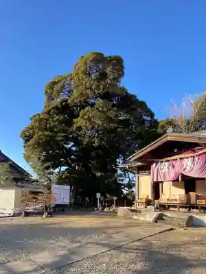 九重神社(埼玉県)