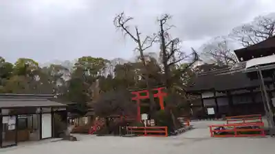 賀茂御祖神社（下鴨神社）(京都府)