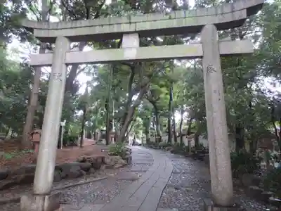 代々木八幡宮の鳥居