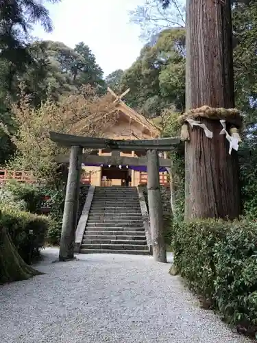 高鴨神社の鳥居