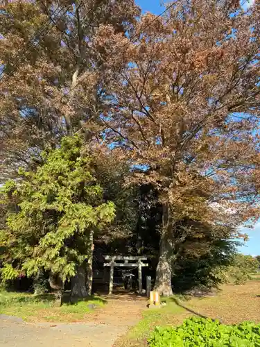 妙見神社(千葉県)