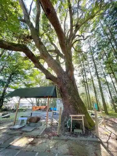 椎植神社(滋賀県)