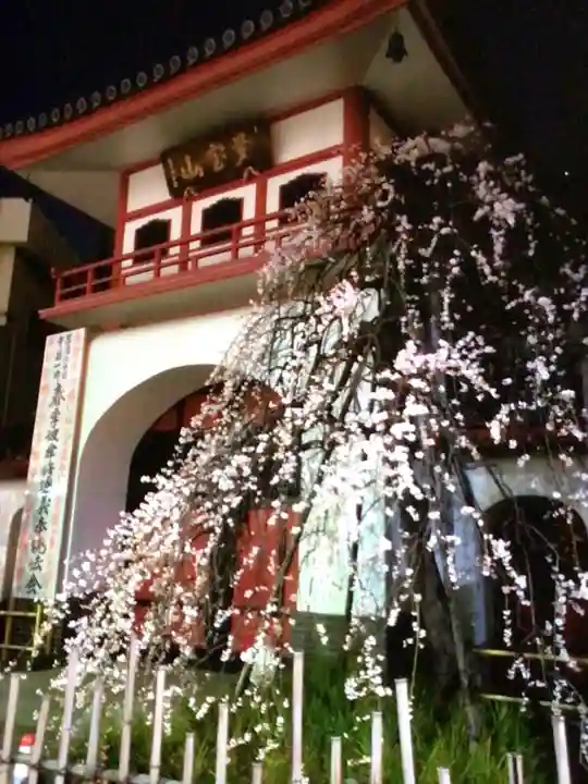 成願寺(東京都)