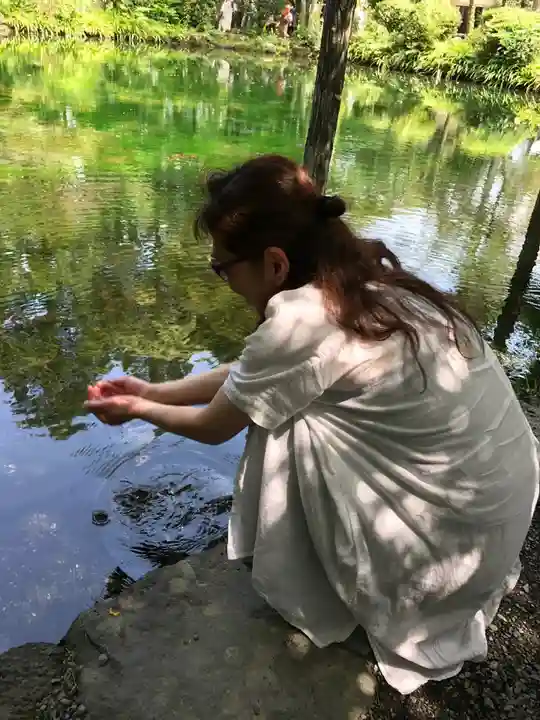 富士山本宮浅間大社(静岡県)