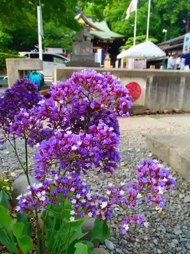 鎮守氷川神社の自然