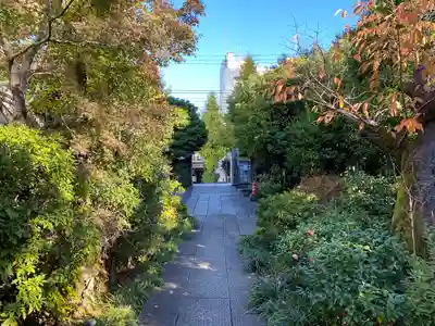 光源寺(東京都)