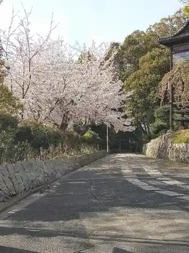 阿智神社の自然