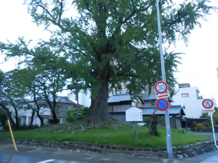 津島神社 御旅所跡(愛知県)