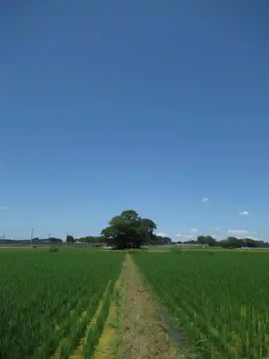 神明神社(千葉県)