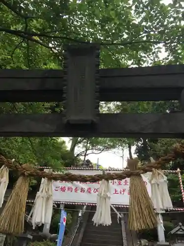 師岡熊野神社の鳥居