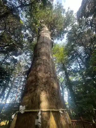 麻賀多神社の{uncategorized: "未分類", other: "その他", undefined: "問題あり", building: "その他建物", grave: "お墓", sacred_gate: "鳥居", guardian: "狛犬", statue: "像", buddha: "仏像", history: "歴史", nature: "自然", garden: "庭園", animal: "動物", pagoda: "塔", temizu: "手水舎", mountain_gate: "山門・神門", sanctuary: "本殿・本堂", subordinate: "末社・摂社", art: "芸術", scenery: "景色", jizo: "地蔵", ema: "絵馬", goshuin: "御朱印", omikuji: "おみくじ", items: "授与品その他", amulet: "お守り", goshuincho: "御朱印帳", eats: "食事", festival: "お祭り", votive_dance: "神楽", shichigosan: "七五三参", wedding: "結婚式", experience: "体験その他", initially: "初詣", around: "周辺", anti_infection: "感染症対策"}