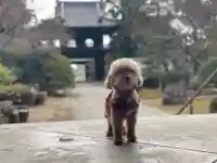 伊勢の国 四天王寺の動物