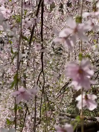 頂法寺（六角堂）(京都府)